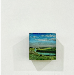 Miniature Landscape